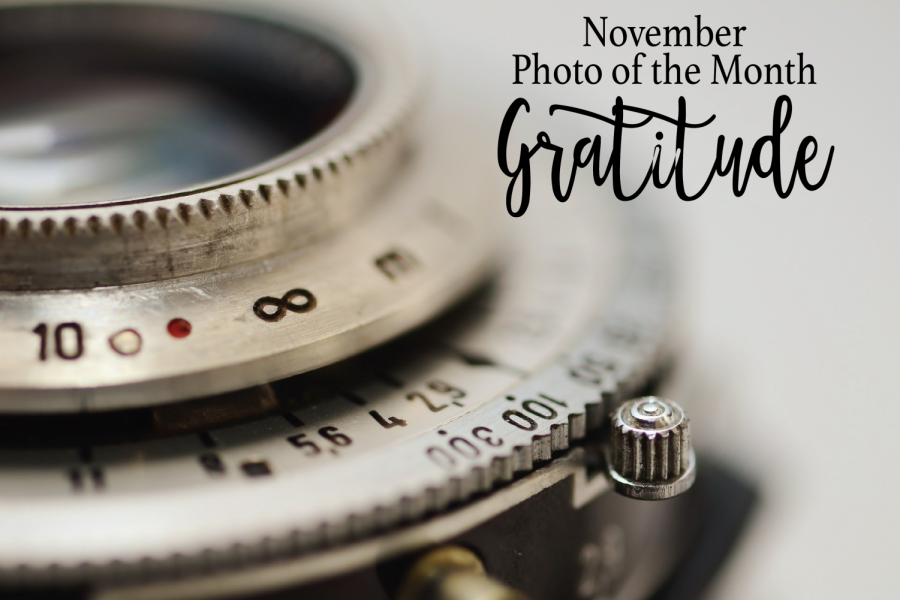 ‘Gratitude’ becomes theme for November Photo of Month contest