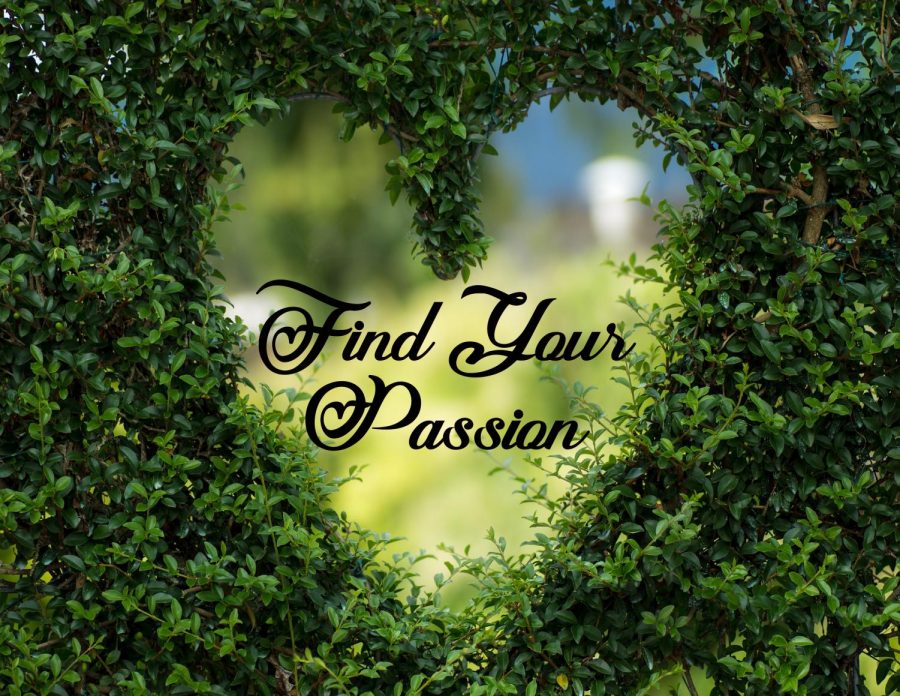 %E2%80%98Find+Your+Passion%E2%80%99+becomes+theme+for+February+Photo+of+Month+contest